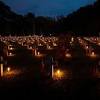 All Saints' Day
