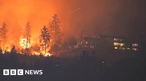 Wildfire